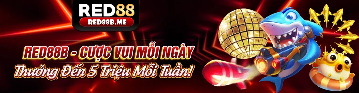 Hình ảnh chính về luật poker và các biến thể